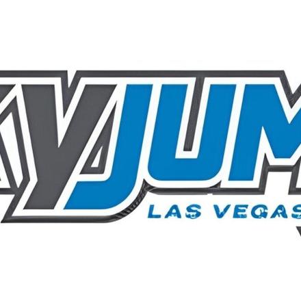 an image of the las vegas vikings logo