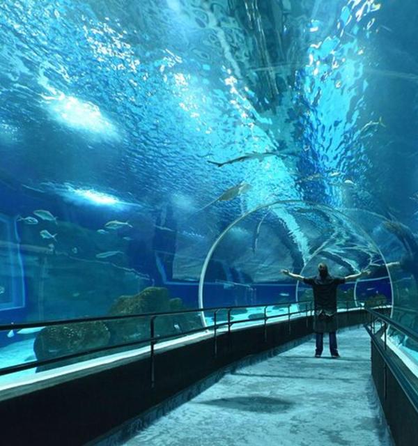 Ingresso AquaRio Rio de Janeiro Somente Ingressos