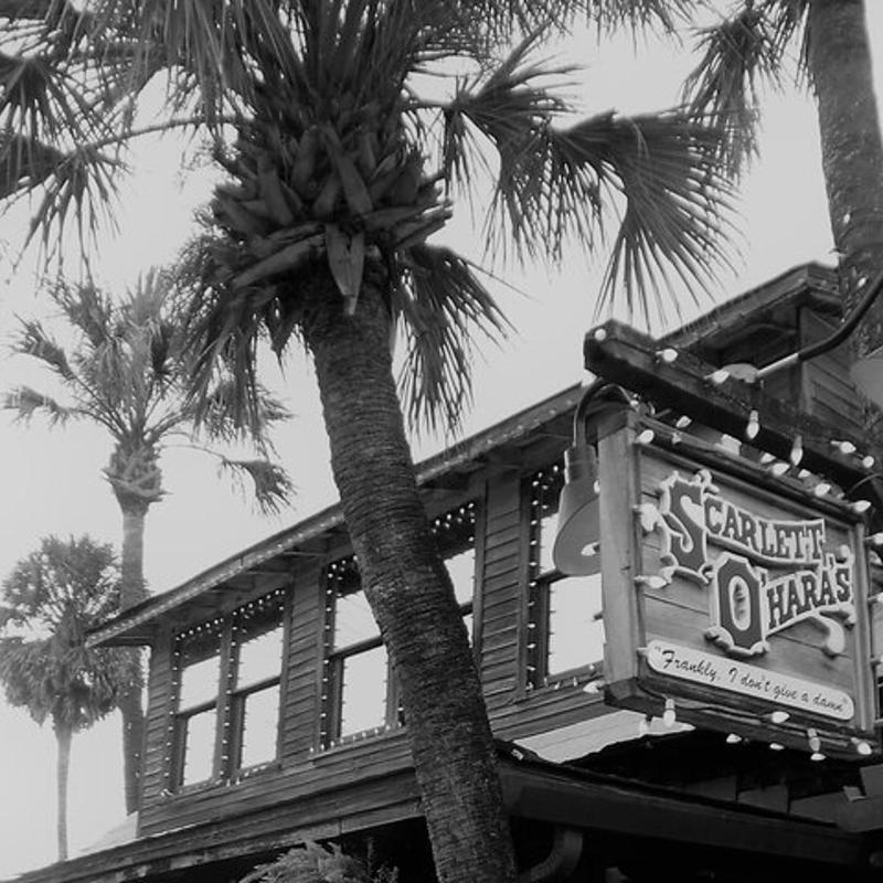a palm tree with a sign in front of a building