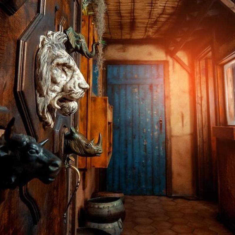 a room with a door with a horse head on the wall