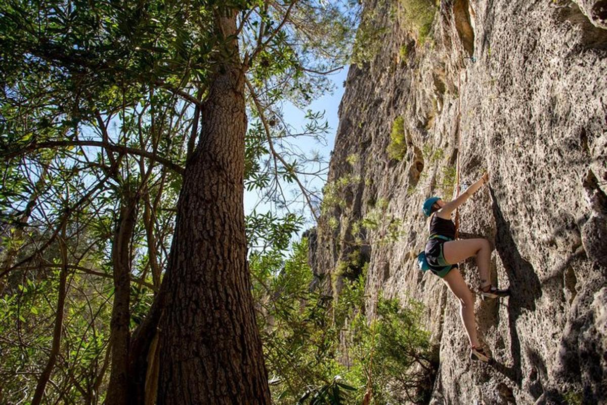 una donna sta scalando una parete rocciosa