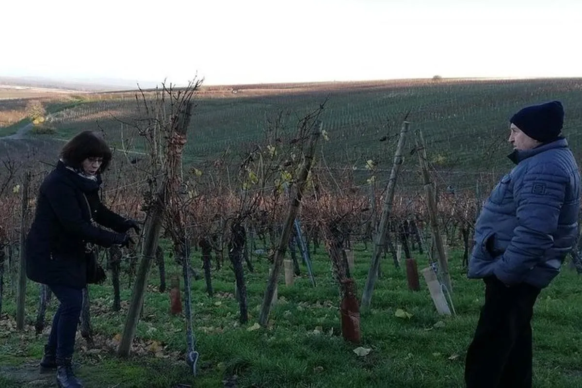 Tour ICONICS : 1/2 Journée sur la Route des vins, visite de 2 Villages+Dégust. – photo 3