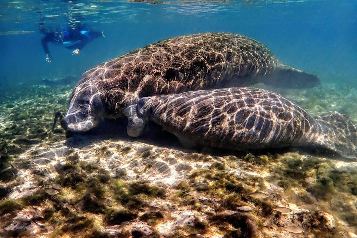 Lankytinos vietos ar pramogos nuotrauka numeris 6