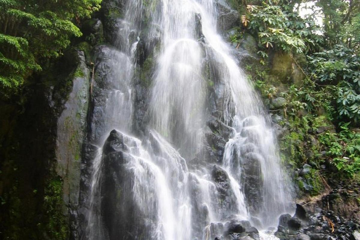 una cascada en medio de un bosque