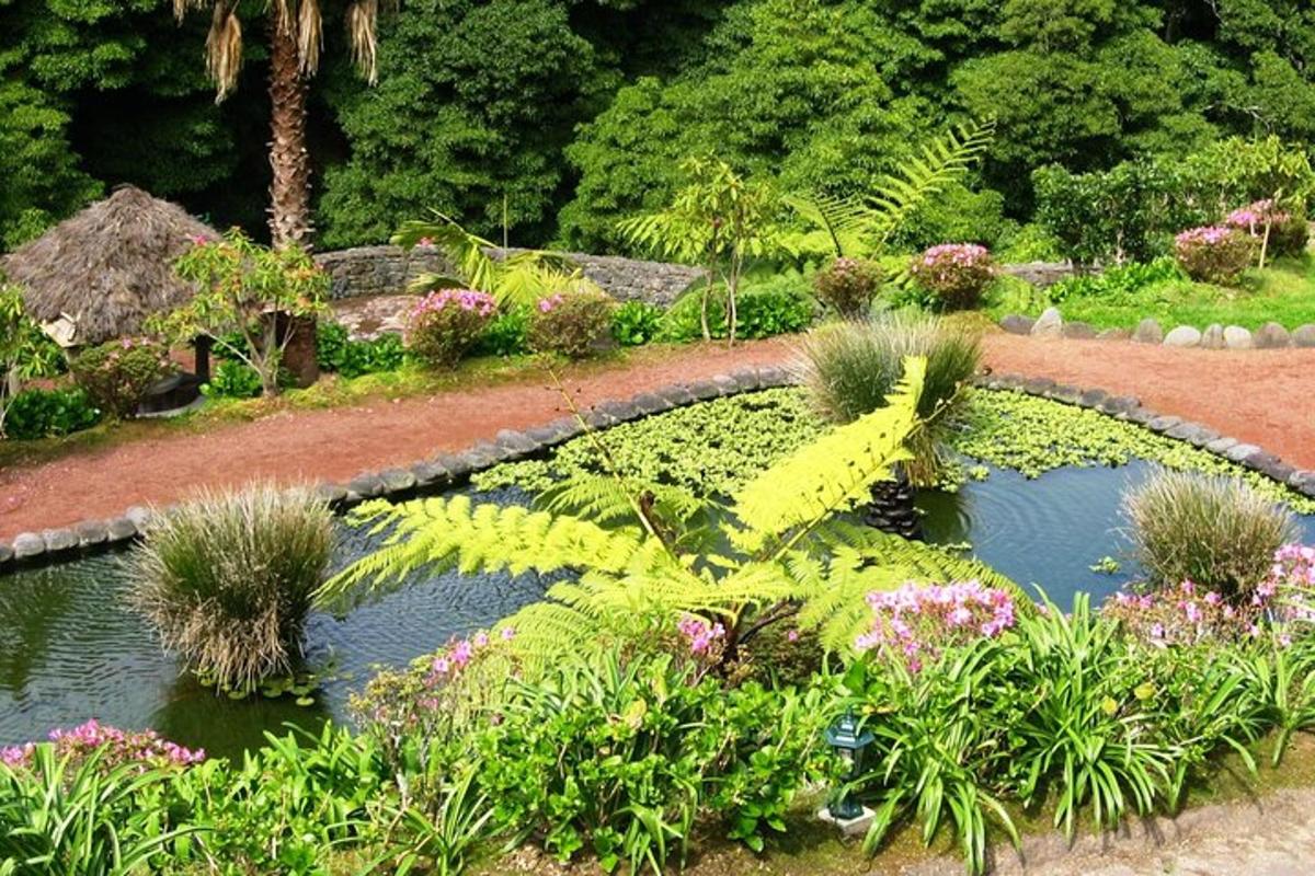 Un jardín con un estanque con plantas y flores.