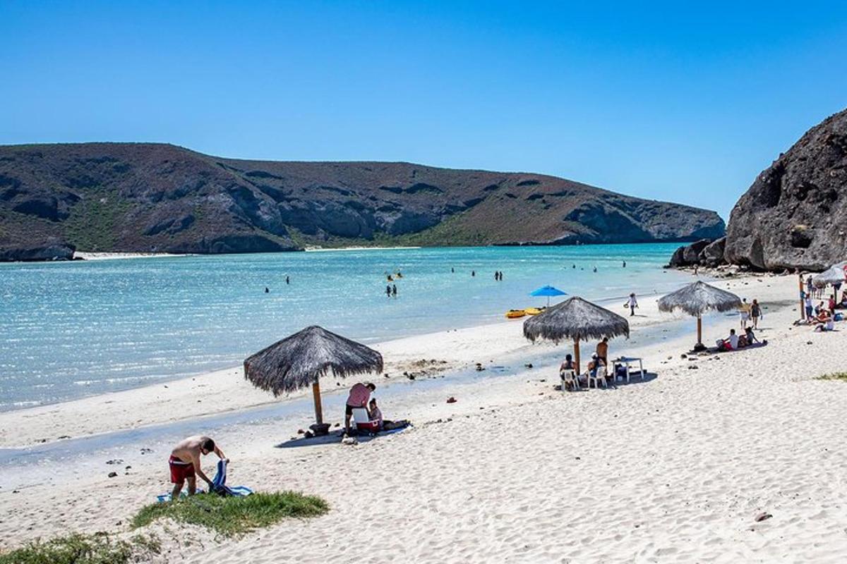 un grup de persones a la platja amb para-sols