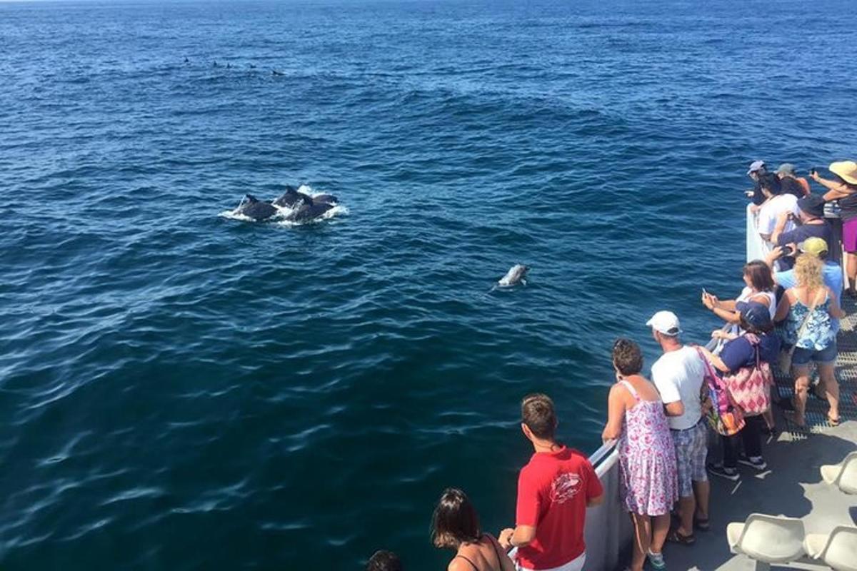 Lankytinos vietos ar pramogos nuotrauka numeris 1