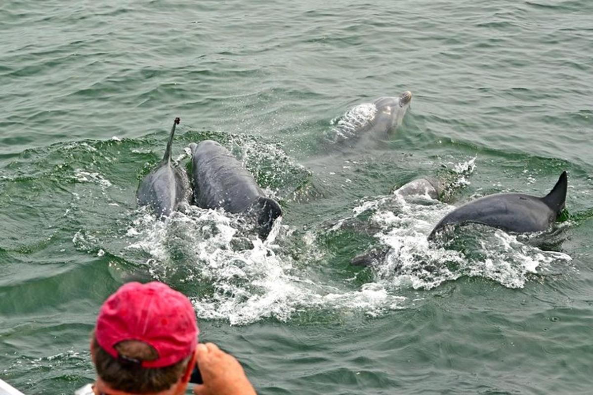 Lankytinos vietos ar pramogos nuotrauka numeris 3