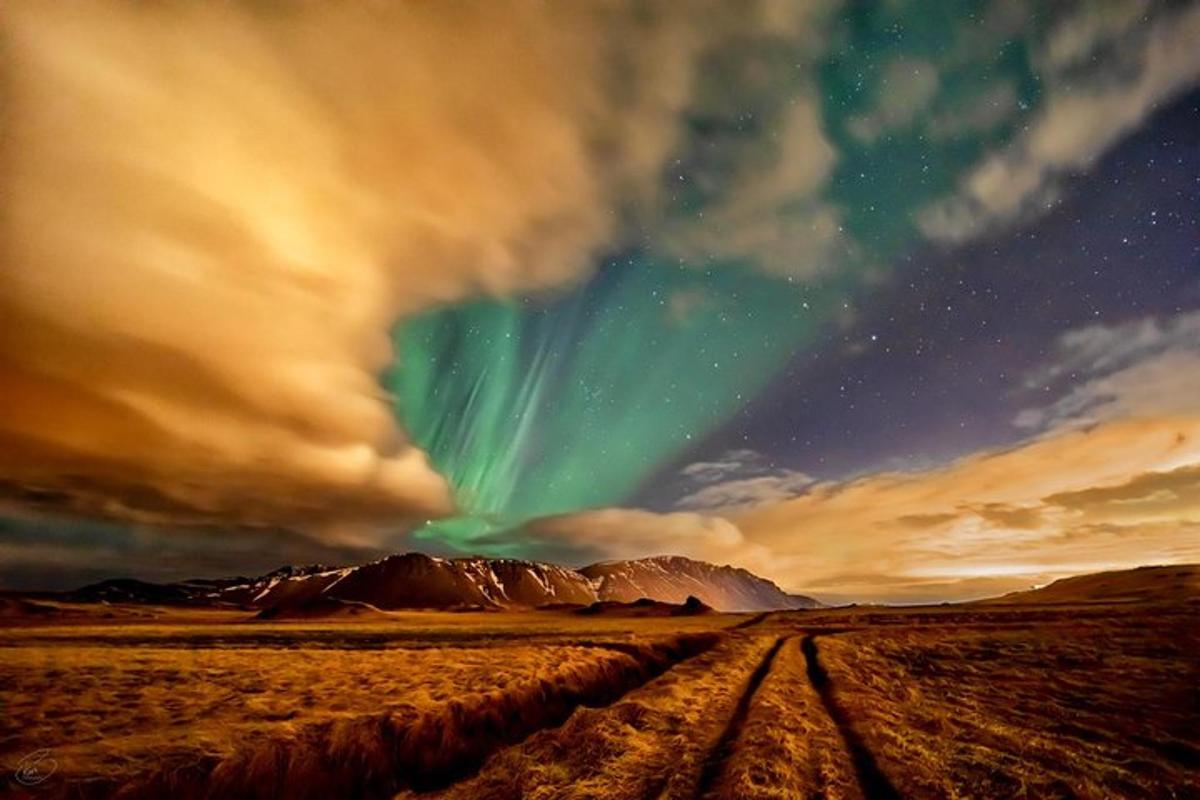 aurora na nebu nad poljem