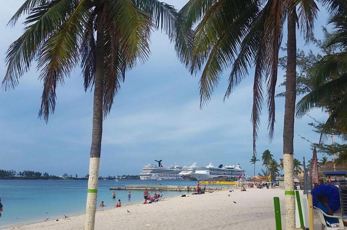 a cruise ship is docked at a beach with palm trees