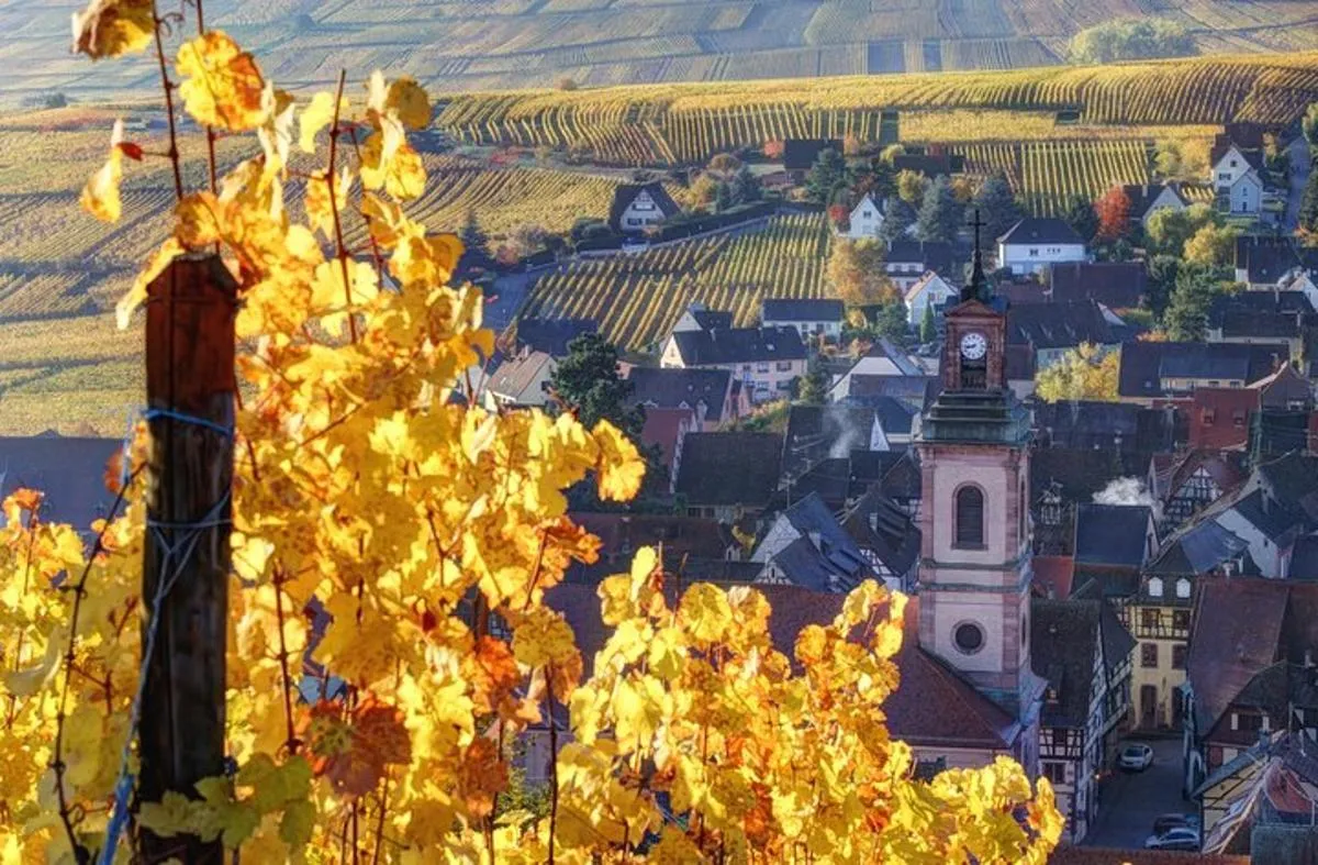 Excursion en petit groupe : joyaux d'Alsace et Route des Vins, 8 h – photo 3