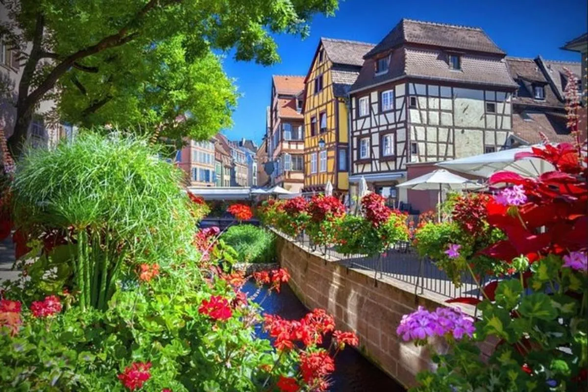 Excursion d'une journée en petit groupe des joyaux d'Alsace au départ de Colmar – photo 5