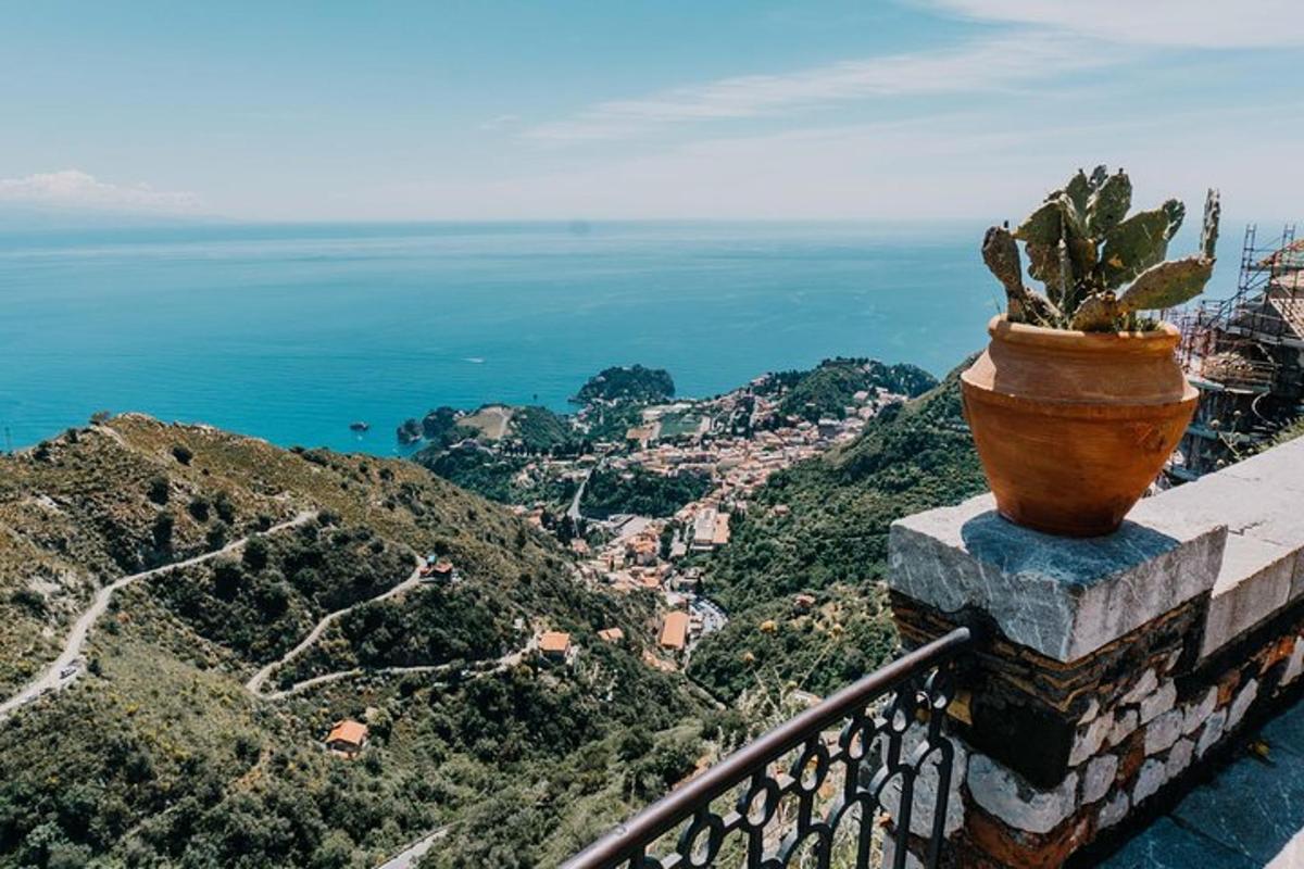 una pianta in vaso appoggiata in cima a un muro