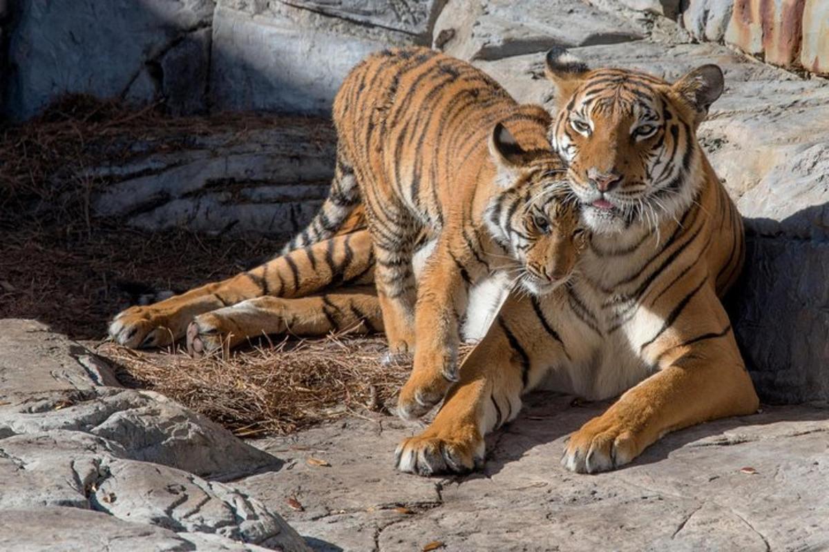 2枚目の観光スポット・アクティビティの写真