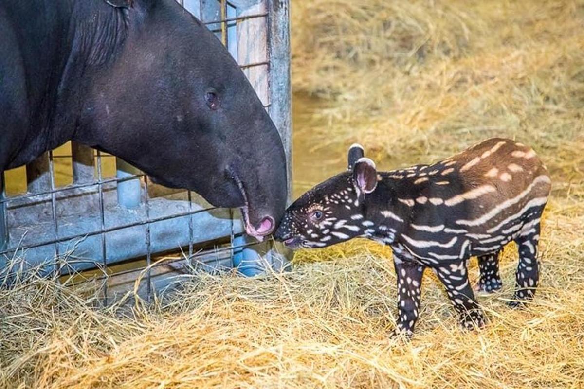 3枚目の観光スポット・アクティビティの写真