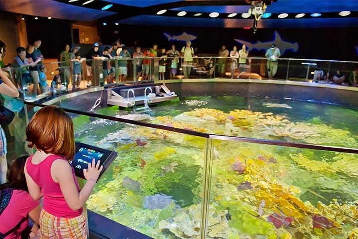 Attraction picture 2