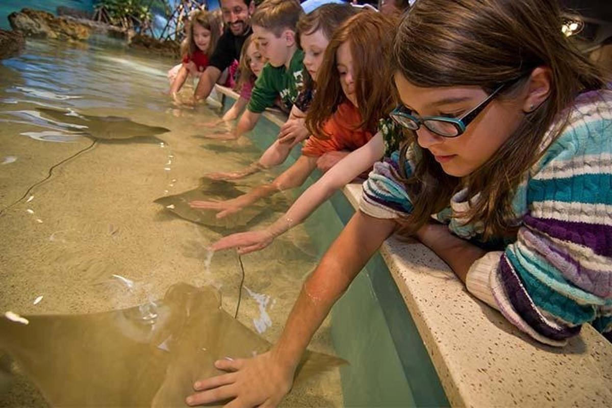 Attraction picture 6
