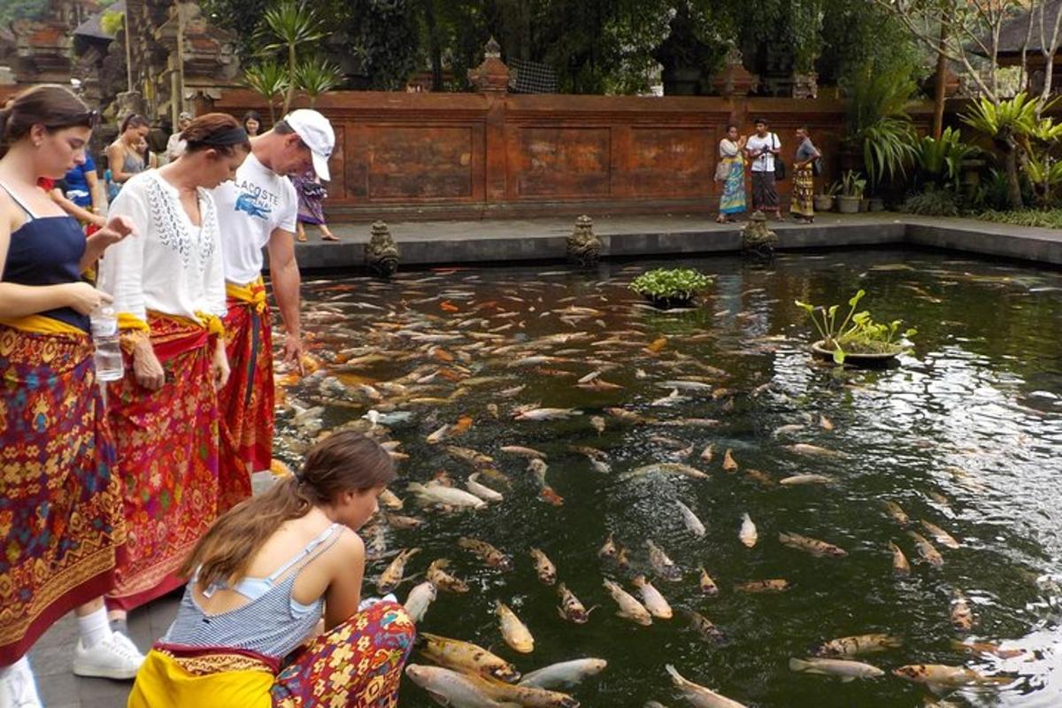 skupina lidí, kteří si prohlížejí rybník s rybami