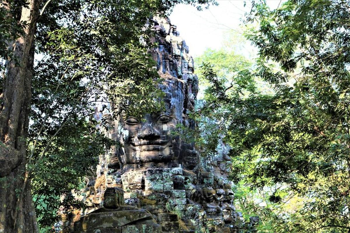 una grande statua di pietra in una foresta di alberi