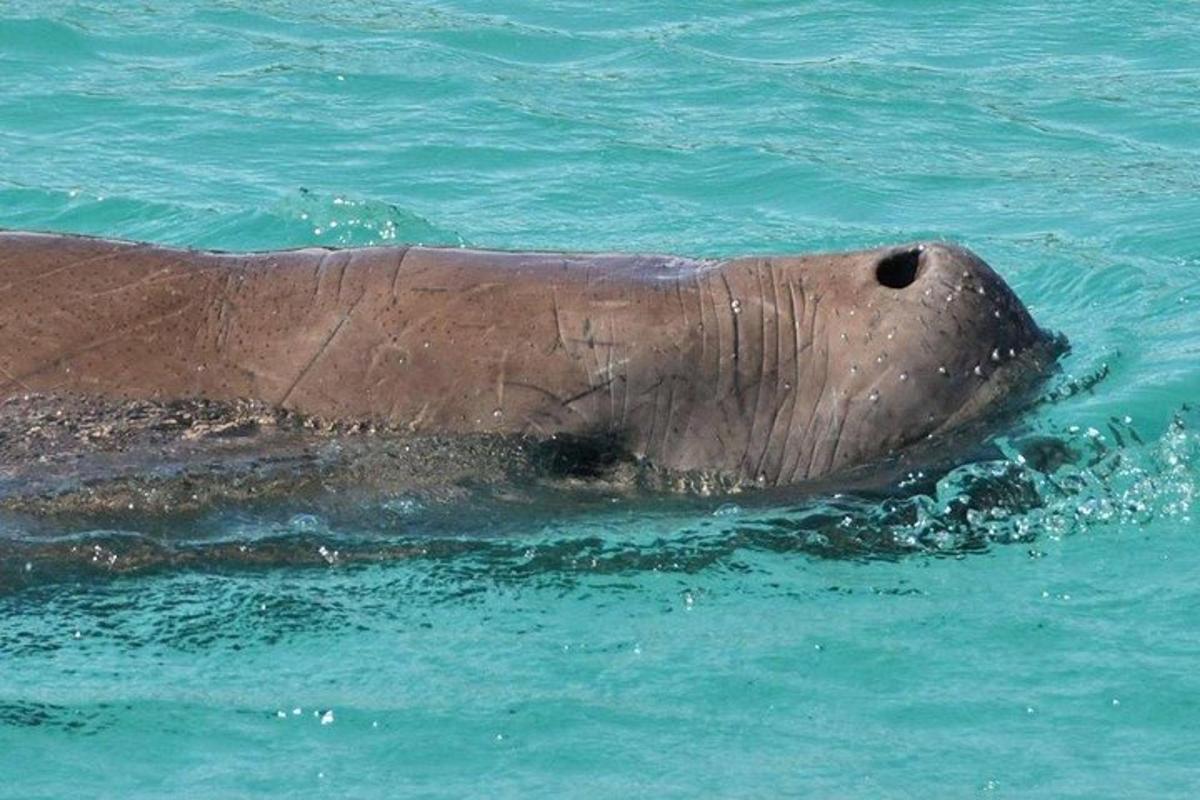 Lankytinos vietos ar pramogos nuotrauka numeris 4