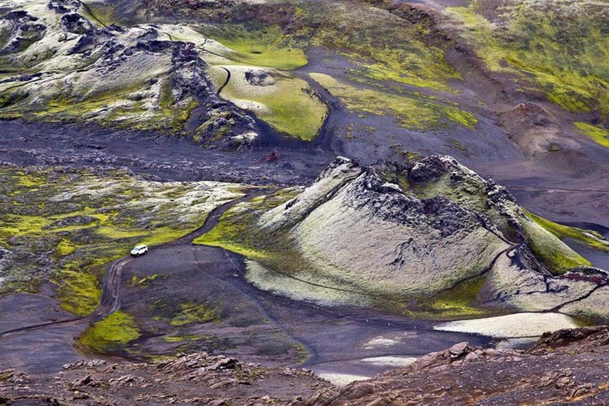 un dipinto di una montagna con rocce ed erba