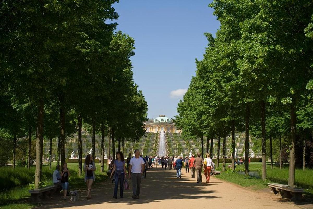 a group of people walking down a path in a park