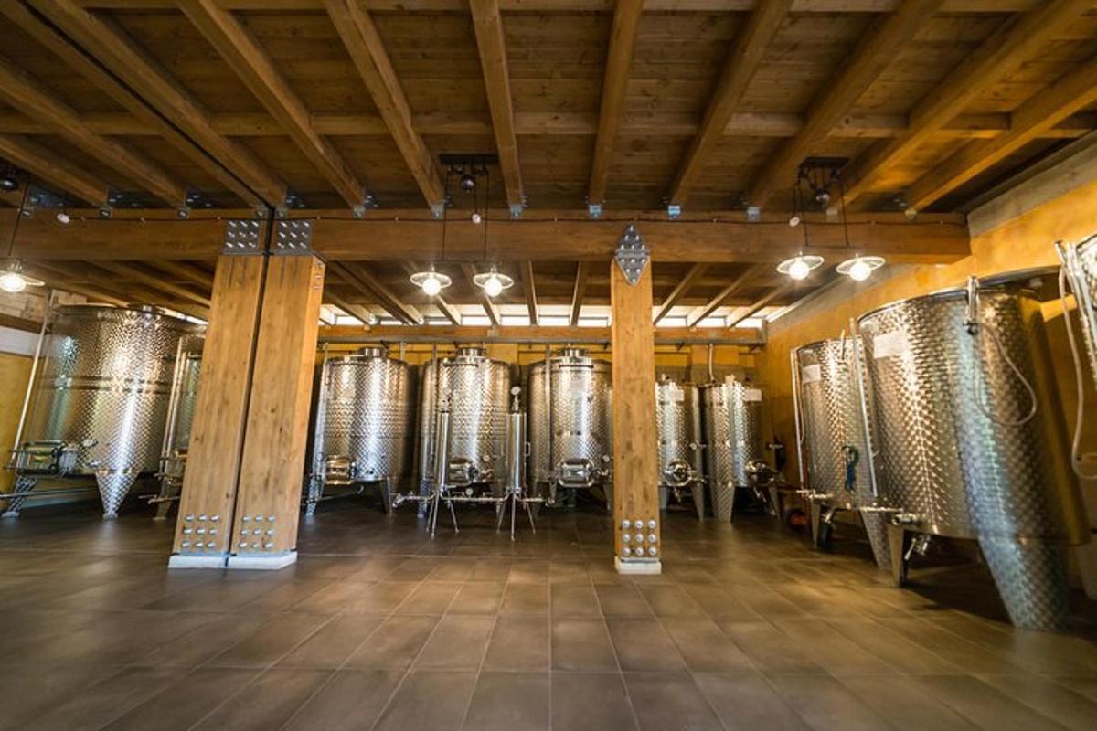a wine cellar with rows of wine barrels