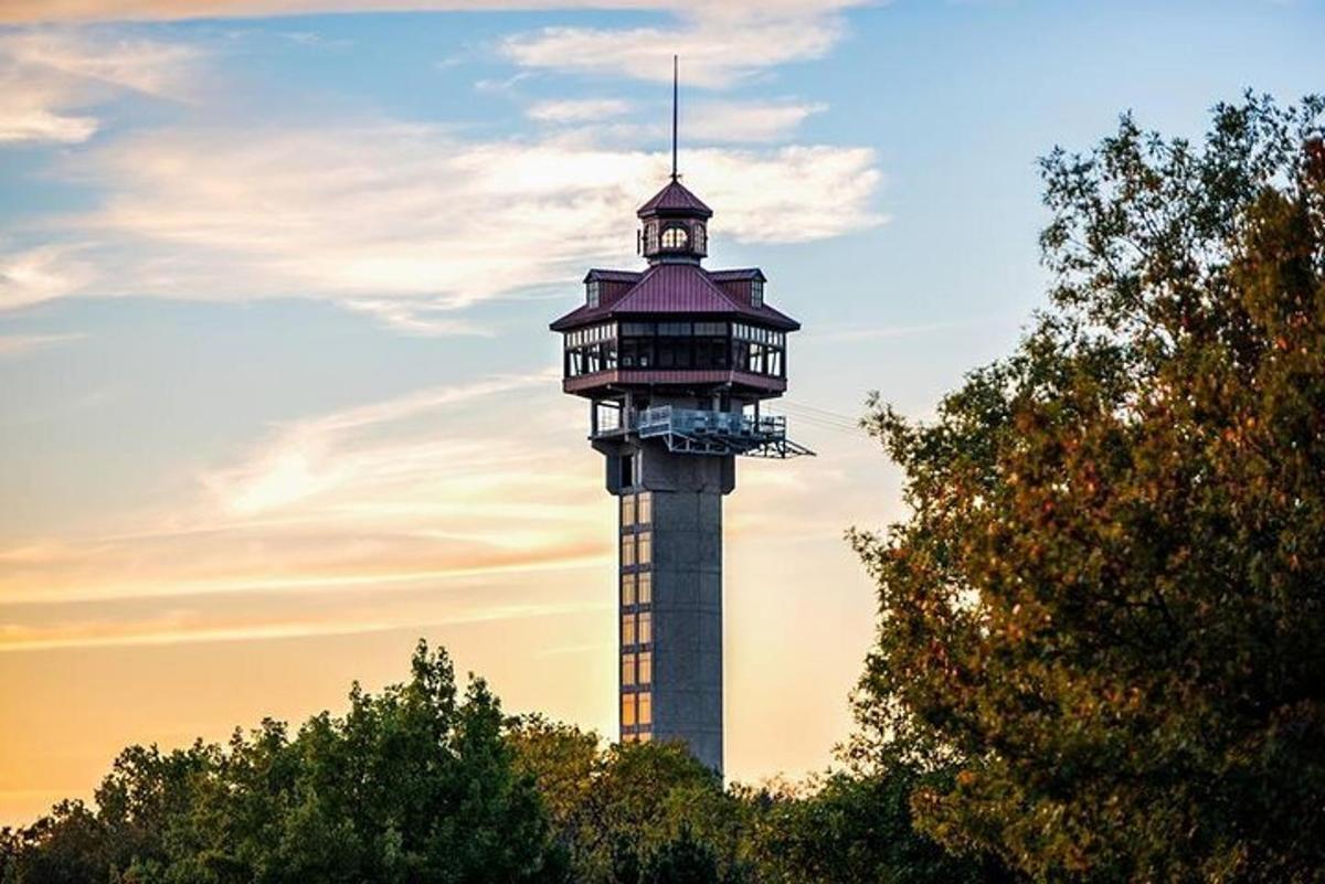 a building with a tower in the middle of trees