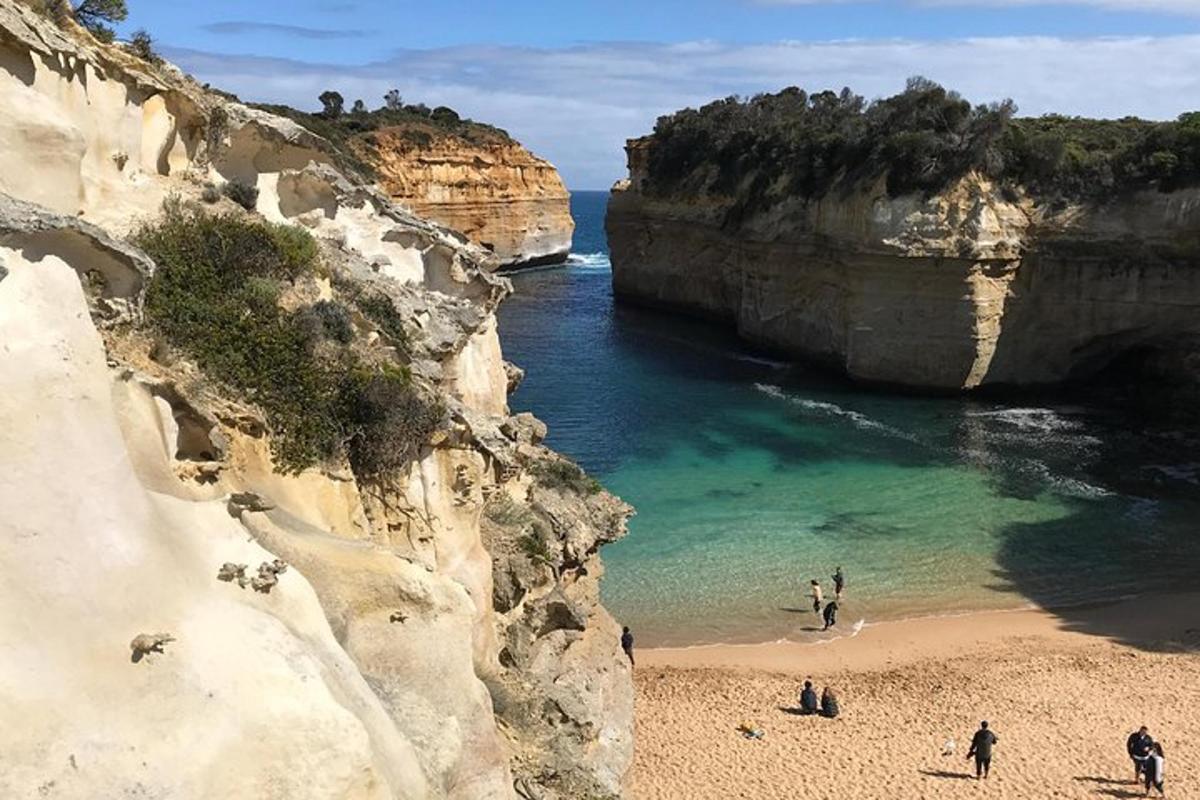 un gruppo di persone su una spiaggia vicino all'oceano