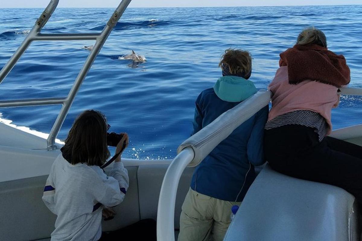 Lankytinos vietos ar pramogos nuotrauka numeris 6