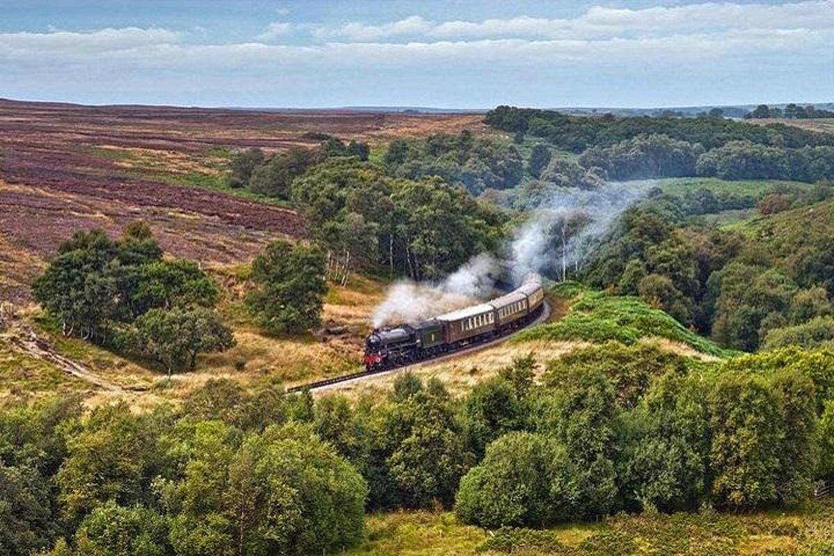 a train is traveling down the tracks in a field