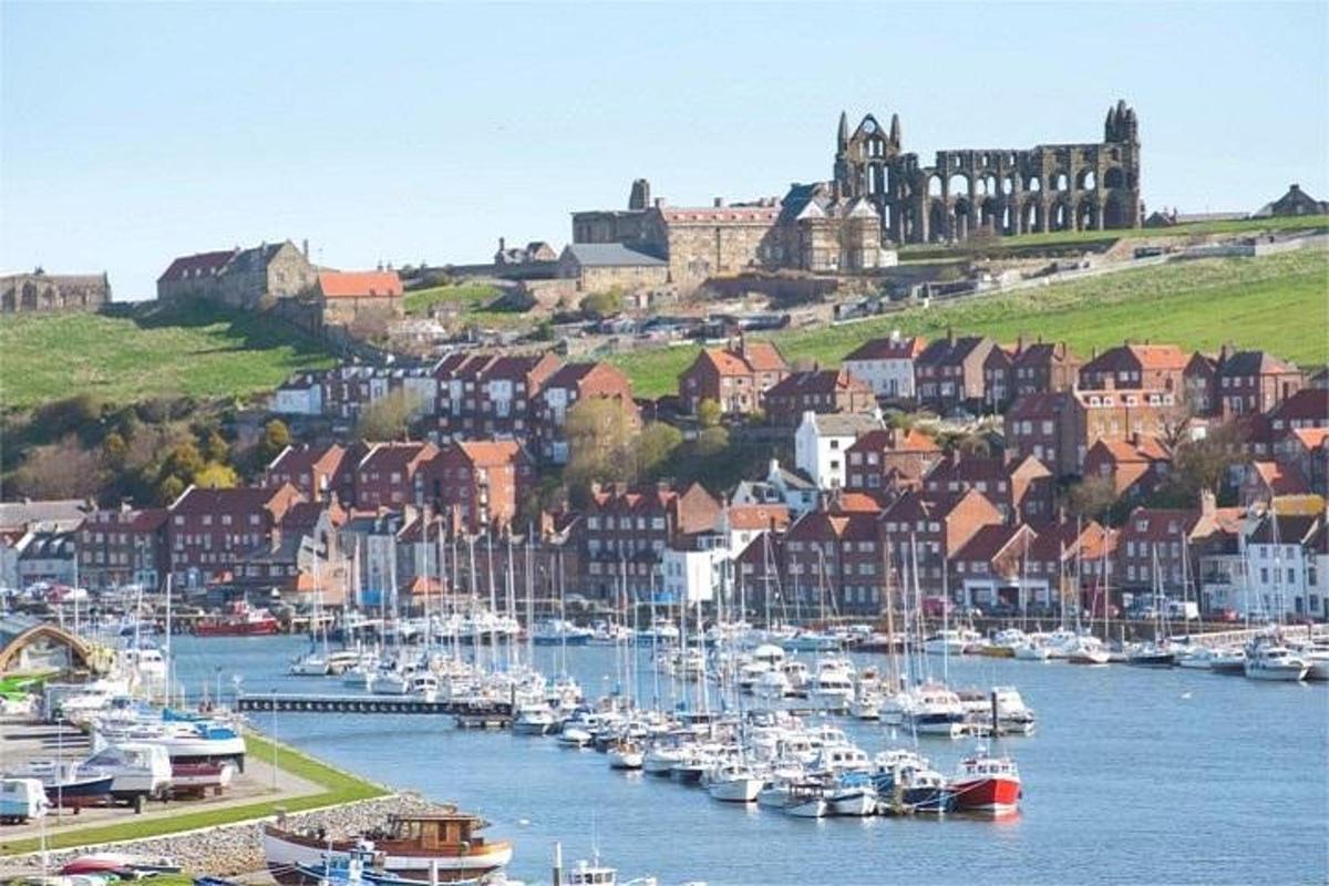 a group of boats docked in a harbor with a city