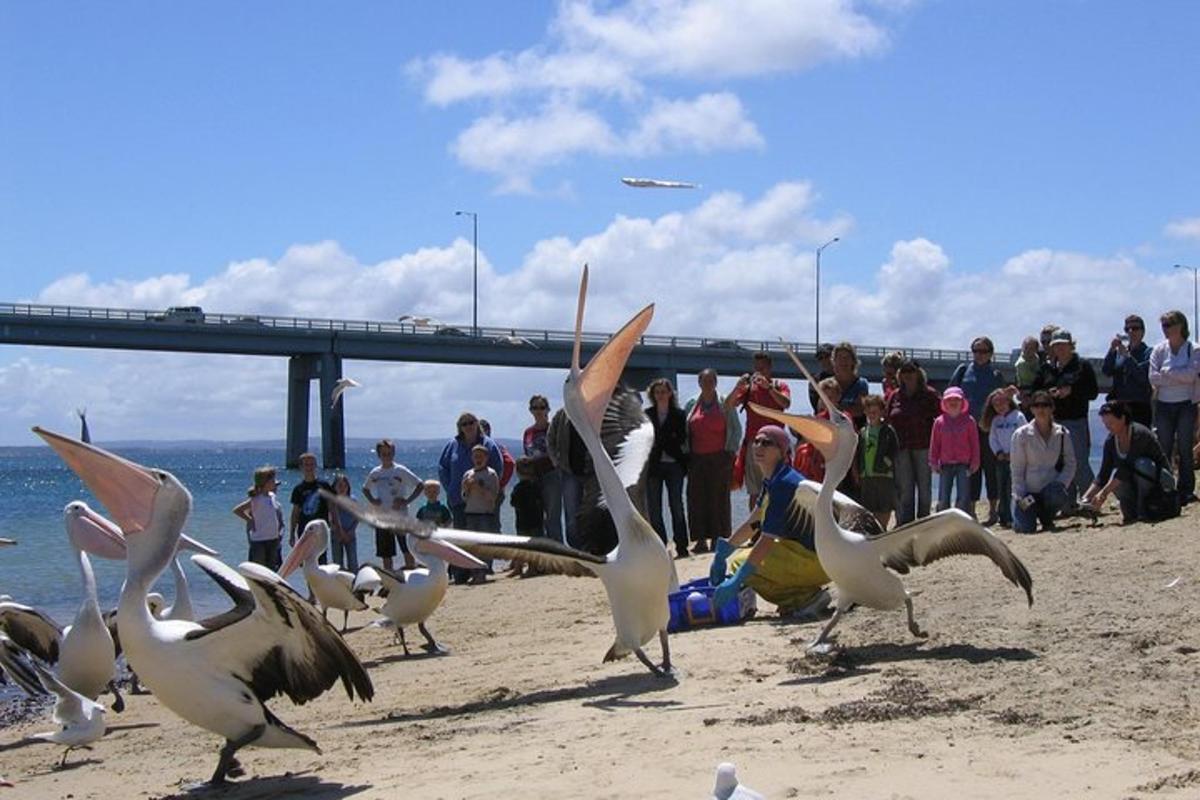 Foto 6 da atração