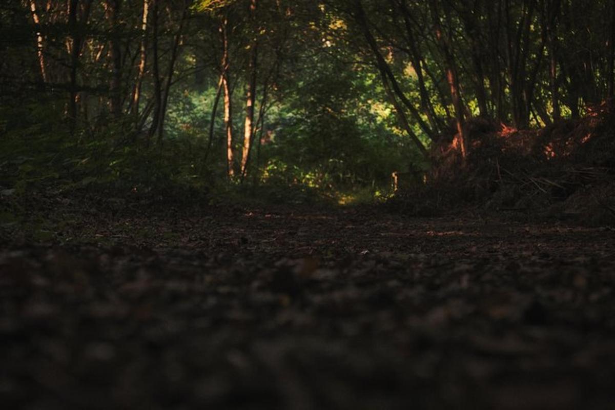 Fotografia da atração 5