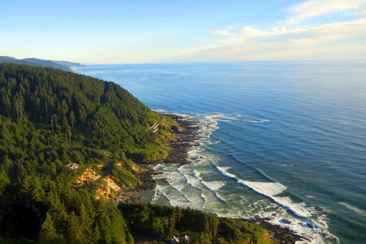 an aerial view of the ocean and a beach