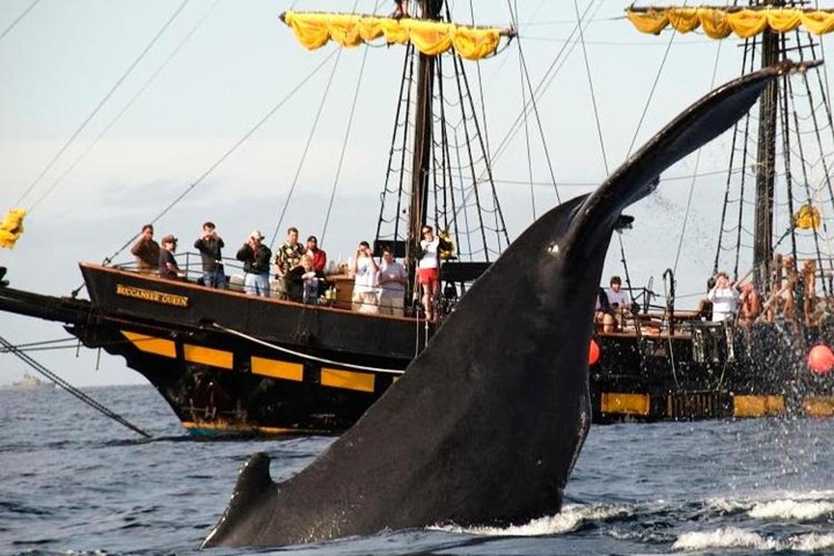 una balena nell'acqua davanti a una barca