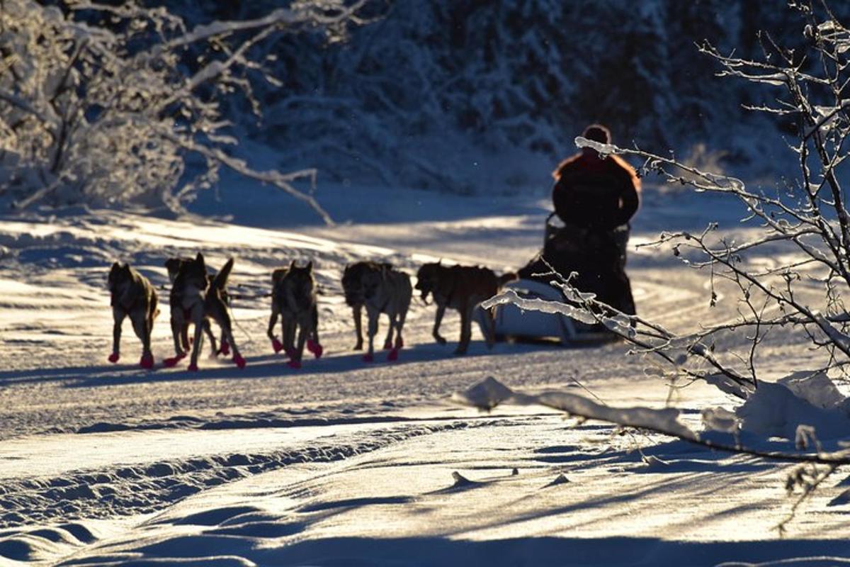 4. apskates objekta attēls