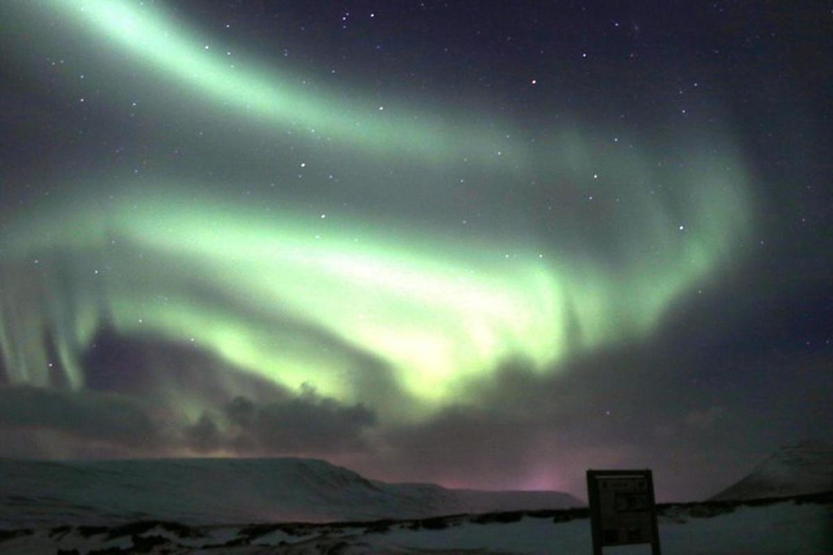 un'aurora nel cielo sopra un campo innevato