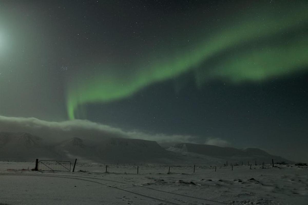 un'aurora nel cielo sopra un campo innevato