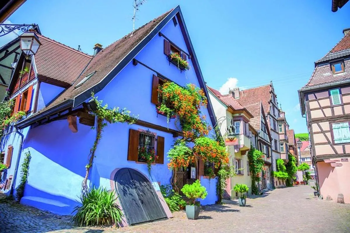 Excursion œnologique d’une demi-journée en Alsace au départ de Colmar – photo 2
