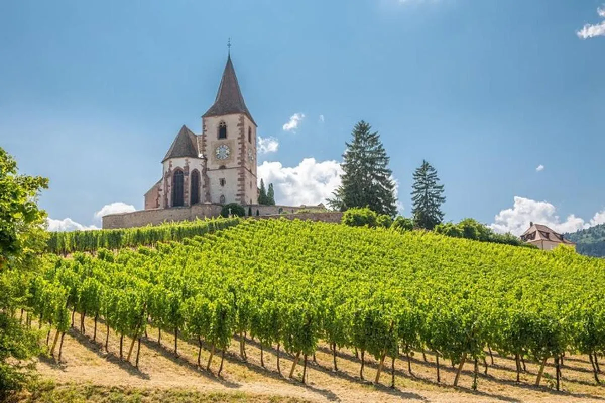 Excursion œnologique d’une demi-journée en Alsace au départ de Colmar – photo 3