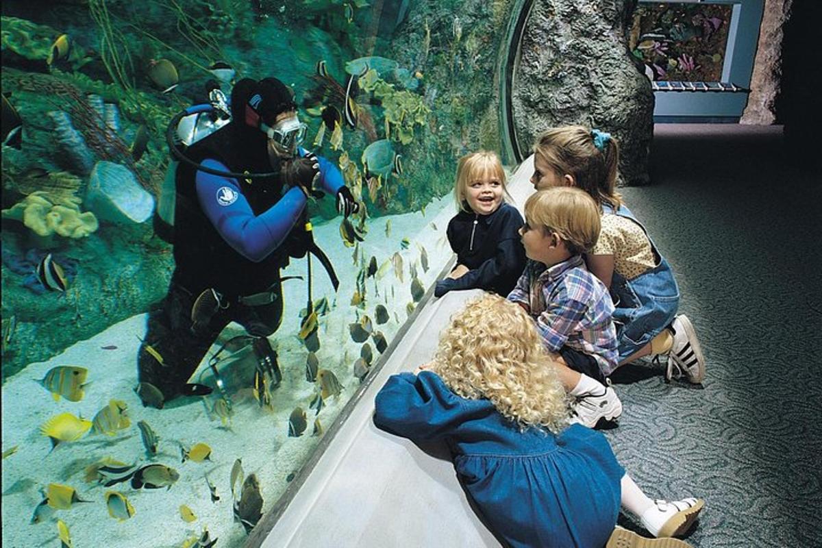 Attraction picture 2