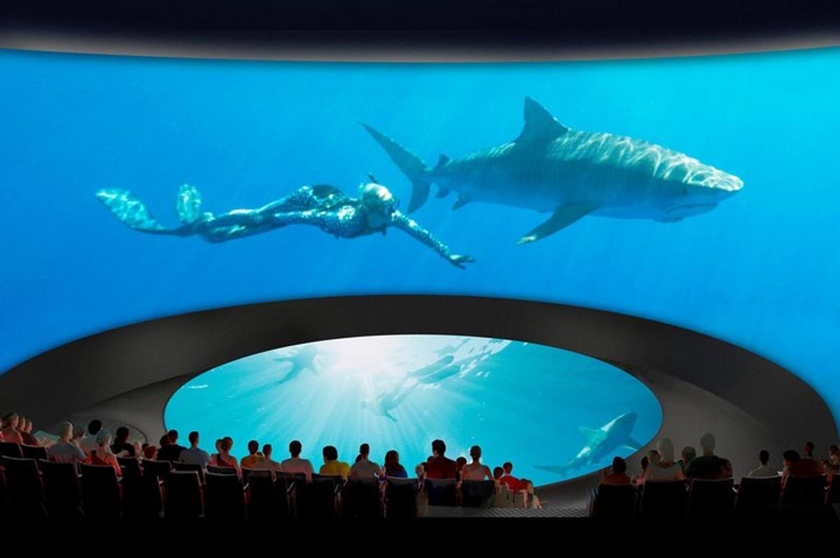 a crowd of people watching a large aquarium with a shark