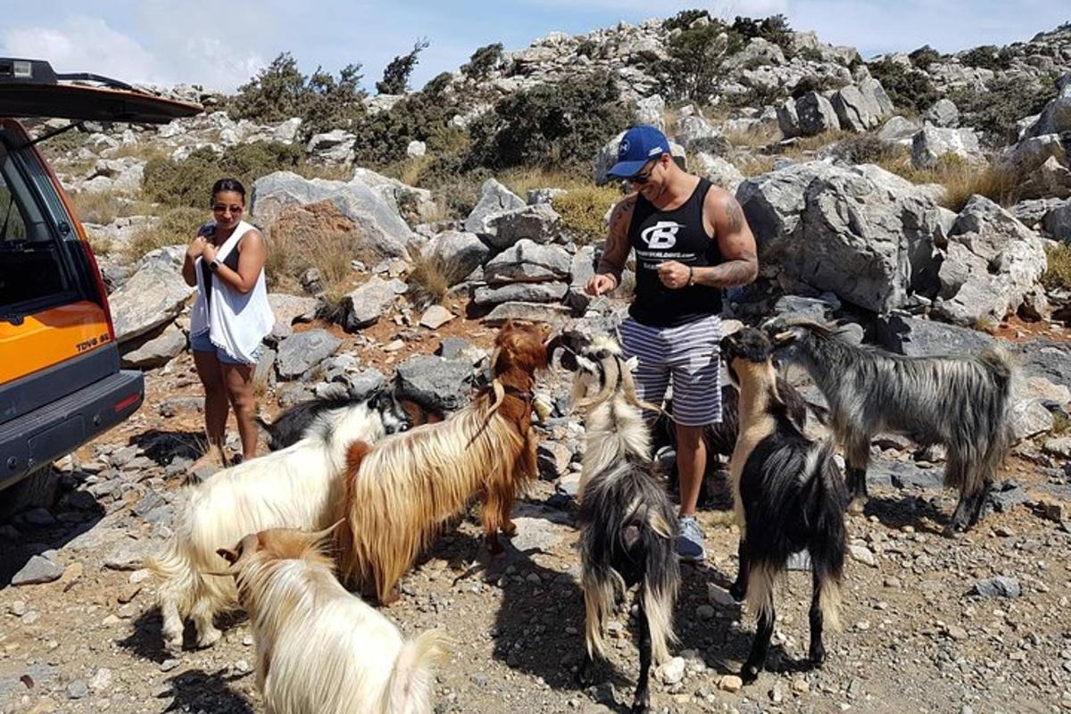 Φωτογραφία αξιοθέατου 4