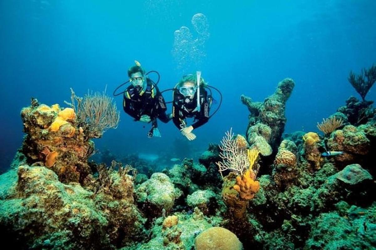 two people in the ocean looking at the coral reef