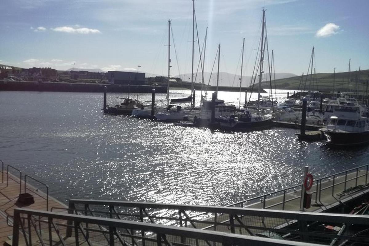 hópur báta lagðist að bryggju í höfn