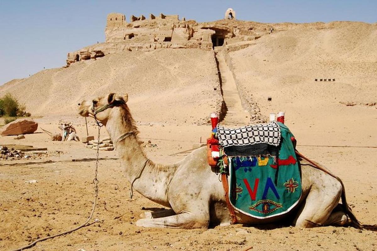a camel laying on the ground in front of a castle
