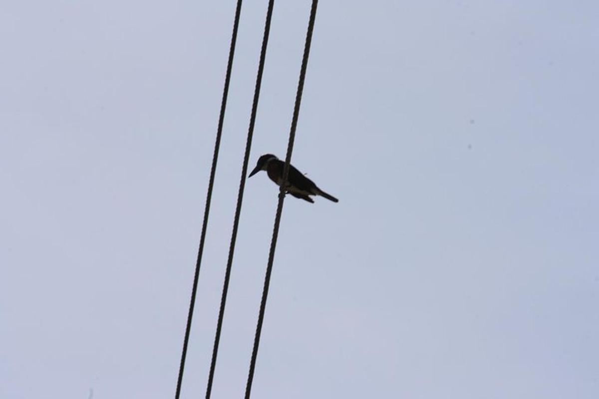 Fotografia da atração 3