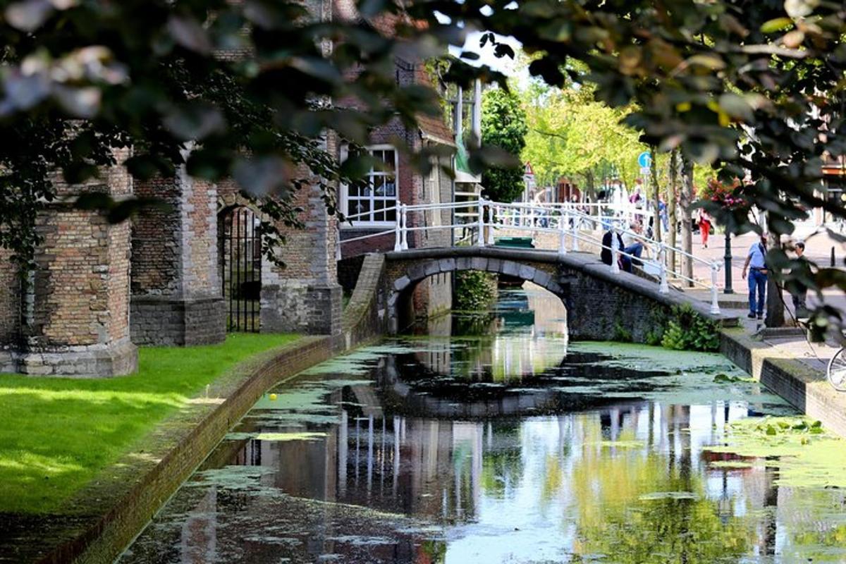 a bridge over a river in a park