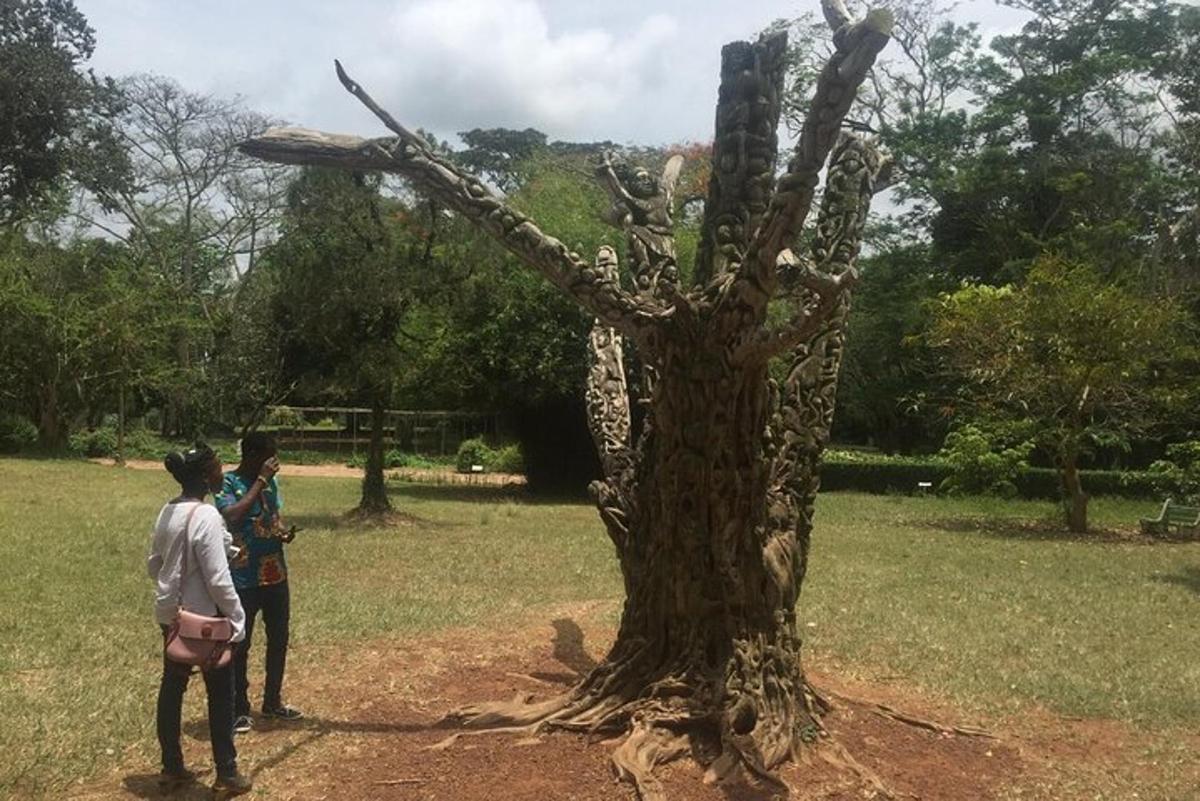 due persone in piedi accanto a un albero morto